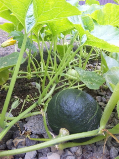 100818_124446.jpg