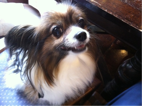 image-20110703201519.png