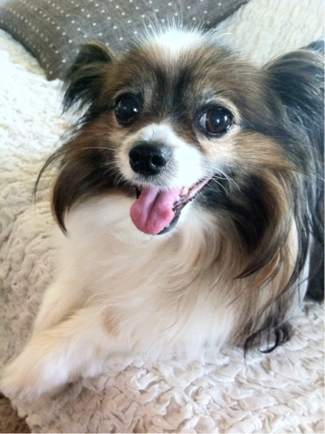 image-20110705232739.png