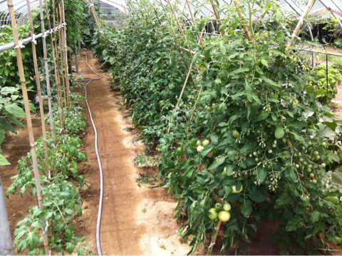 image-20110726232506.png