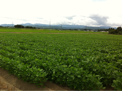 image-20110726232951.png