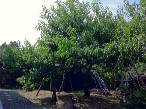 image-20110731225118.png