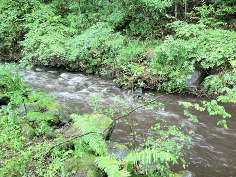 image-20110817210646.png