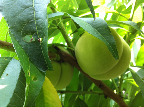 image-20110822222118.png