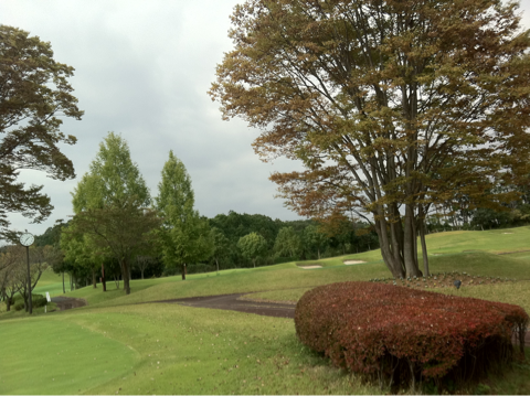 image-20111021235214.png