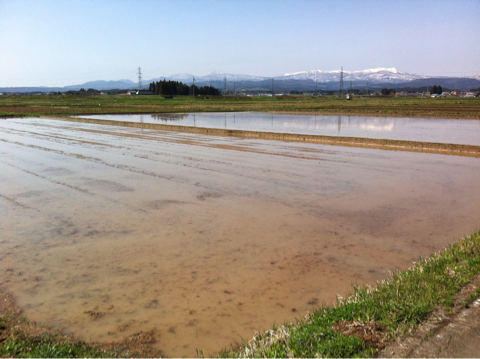 image-20120428232311.png