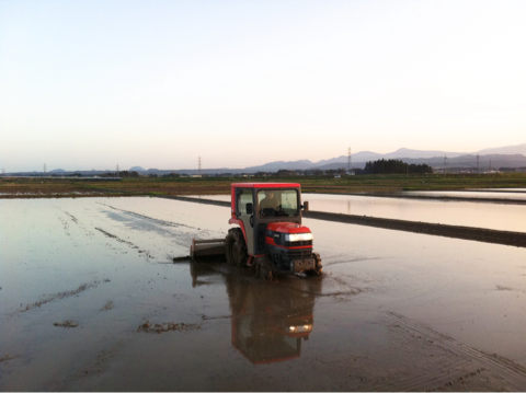 image-20120428232332.png