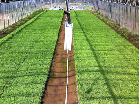 image-20120429102607.png
