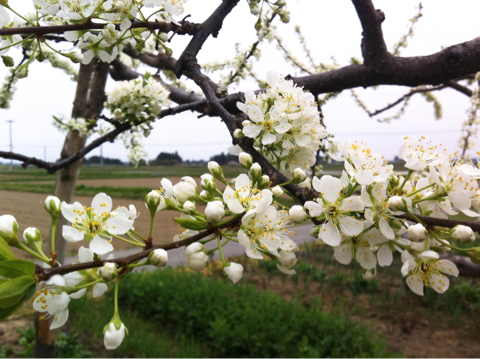 image-20120501214151.png