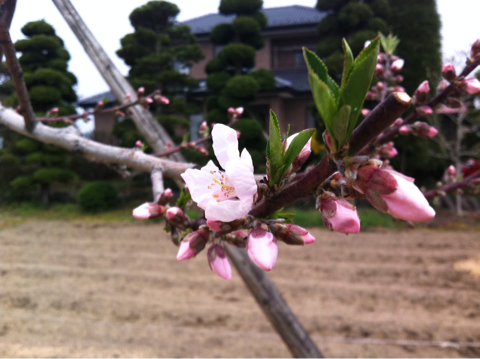 image-20120501214212.png