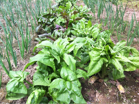 image-20120501214425.png