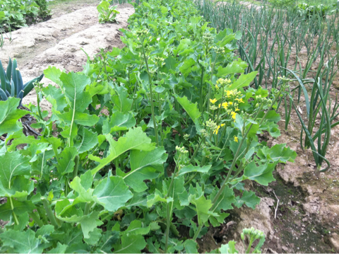 image-20120501214446.png
