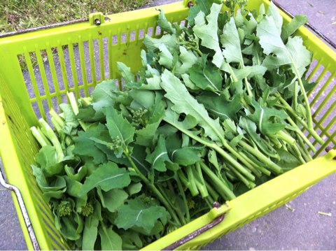 image-20120501214536.png
