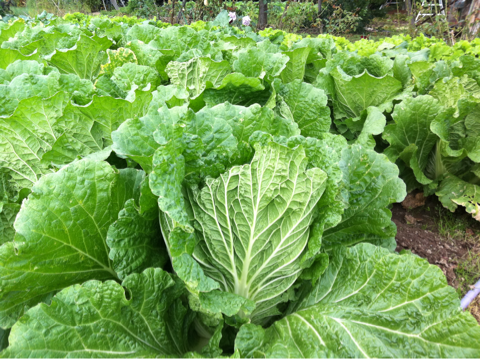 image-20121114004236.png